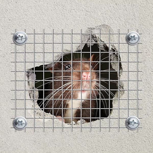 Gallura Disinfestazioni