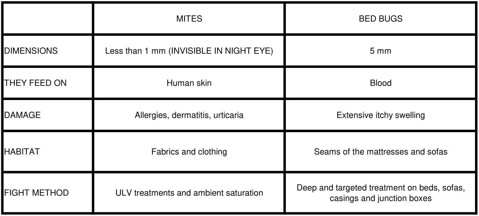 The difference between bed bugs and mites