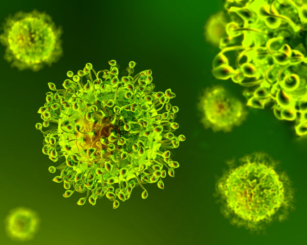 The emergency caused by the Coronavirus